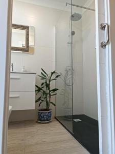 a bathroom with a shower and a potted plant at SANTANDER-LIENCRES VILLA PERAL in Liencres