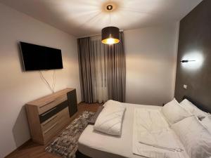 康斯坦察的住宿－Neversea Suite，一间卧室配有一张床和一台平面电视