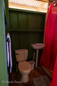 a green bathroom with a toilet and a sink at Complejo Ecoturistico Tamandua in Drake