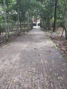 an empty road in a forest with trees at Syed monjil 