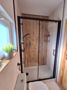 uma casa de banho com um chuveiro e um WC. em SierPlejs Hill - domek przy szlaku w Górach Sowich em Sierpnica