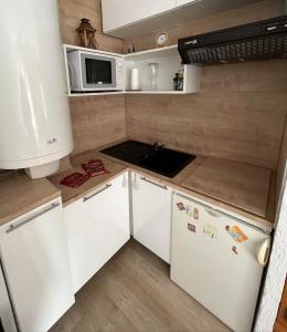 a small kitchen with white cabinets and a sink at Ustou Guzet neige, appartement de 32 M2 avec balcon dans les Pyrénées aux pieds des pistes in Ustou