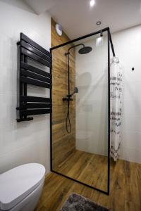 ジェシュフにあるVIP Apartamenty Lubelska IIのガラス張りのシャワーとトイレ付きのバスルーム +15枚の写真