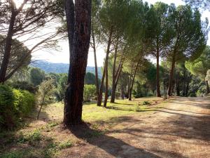 a dirt road with trees on the side of it at Casa Valdesanmartin - Country House, 10500sqm, Pool, Paddel & Bbq in El Tiemblo