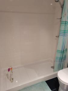 La salle de bains blanche est pourvue d'un rideau de douche et de toilettes. dans l'établissement VUT PORTONOVO 2 DORMITORIOS, à Portonovo