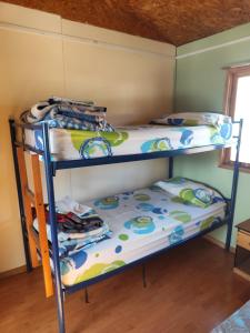 Gallery image of Alma Patagona Hostel in Puerto Tranquilo