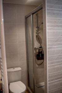 un baño con inodoro y ducha en Au Coeur du Village Bassillac Périgueux, en Bassillac 7 fotos más