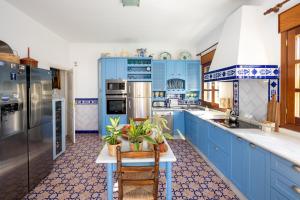 eine Küche mit blauen Schränken und einem Tisch mit Pflanzen in der Unterkunft Alojamiento rural de lujo in Baza