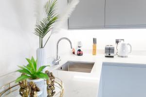 eine weiße Küche mit einer Spüle und einer Pflanze in der Unterkunft Luxury Cardiff City Centre Apartments in Cardiff