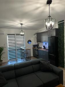 a living room with a couch and a kitchen at Atractiv Apartaments in Chiajna