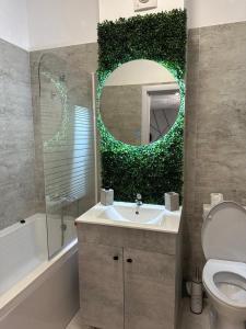 a bathroom with a sink and a mirror at Atractiv Apartaments in Chiajna