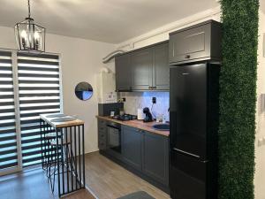 a kitchen with black cabinets and a black refrigerator at Atractiv Apartaments in Chiajna