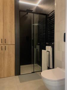 La salle de bains est pourvue de toilettes et d'une douche en verre. dans l'établissement Stylowy Apartament przy Manufakturze w samym centrum Łodzi, à Łódź