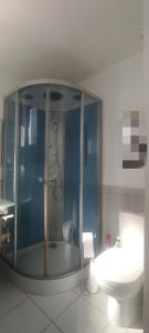 uma casa de banho com uma cabina de duche em vidro e um WC. em Chambre chez l'habitant "Entre Airs et Montagnes" em Tallard