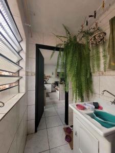 baño con lavabo y planta en Quarto em casa a 1.4km da UFSM, en Santa Maria