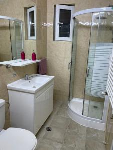 a bathroom with a sink and a shower and a toilet at Escape Aparthotel in Suceava