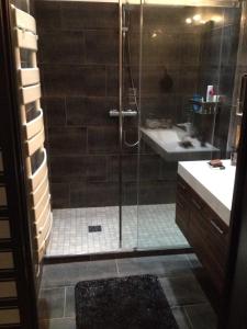 a bathroom with a shower and a sink at Loft i gemelli in Montbéliard