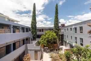 a row of cypress trees in the courtyard of a building at Hacienda Santa Barbara by Homi Rent in El Jacal