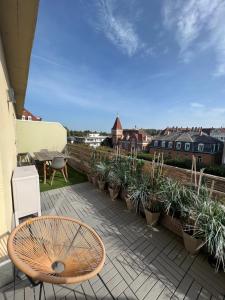 a patio with a chair and a bunch of potted plants at Appartement cosy orangerie in Strasbourg