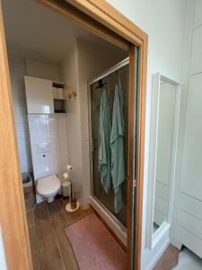 a bathroom with a toilet and a glass shower door at Appartement cosy orangerie in Strasbourg +18 photos