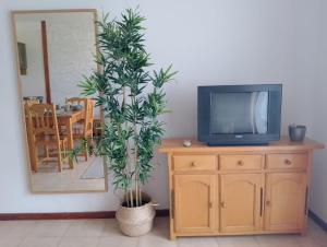 una planta sentada en la parte superior de un tocador junto a una TV en Casa Lago Azul 49 en Los Cancajos