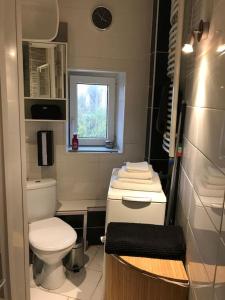 een kleine badkamer met een toilet en een raam bij Appart Mama - Visiter Paris et Disneyland en famille à petit prix in Romilly-sur-Seine