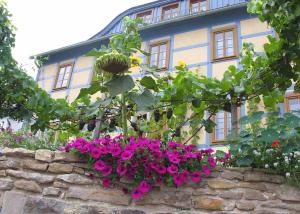 Gallery image of In der alten Weinstube in Freital