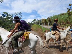 dos personas montando caballos en un camino de tierra en Cabañas Don Tito en Pejibaye