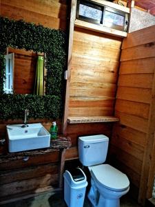 a bathroom with a toilet and a sink at Cabañas Don Tito in Pejibaye