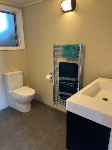 a bathroom with a white toilet and a sink at Bramley's Stables and Accommodation in Rangiora