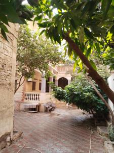a courtyard of a building with tables and trees at Giza view in Cairo