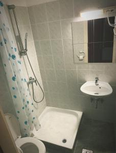 ein Bad mit einer Dusche, einem WC und einem Waschbecken in der Unterkunft Pasa Han Hotel M1autópálya 