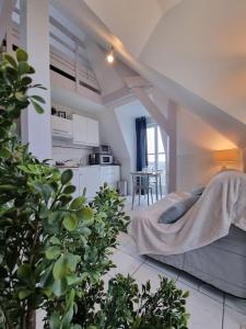 een woonkamer met een bed en een keuken bij Le Saint-Gildas - parking privé - Belle Isle in Châteauroux