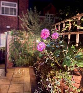 Cosy Cottage Central Bawtry - 2 Bedroom - High End Furnishings外面的花园