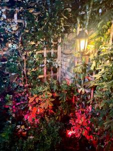 Cosy Cottage Central Bawtry - 2 Bedroom - High End Furnishings外面的花园
