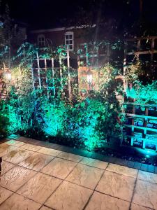 Cosy Cottage Central Bawtry - 2 Bedroom - High End Furnishings外面的花园