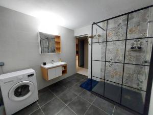 a bathroom with a washing machine and a sink at Appartement cosy in Fort-de-France +4 photos