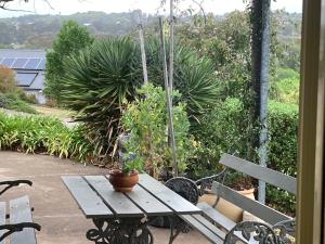 a picnic table with a potted plant on top of it at Midgee Cottage in Mudgee