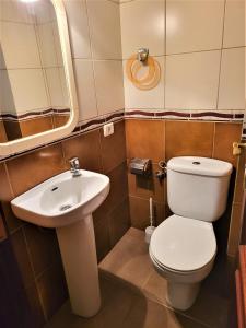 La salle de bains est pourvue de toilettes et d'un lavabo. dans l'établissement 2 bedrooms sea view apartament 100 meters from ocean, à Los Cristianos