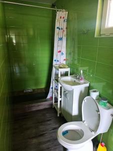 baño verde con aseo y lavamanos en Domki Letniskowe oraz Chata Grillowa " Nad Zalewem "Bliżyn en Bliżyn