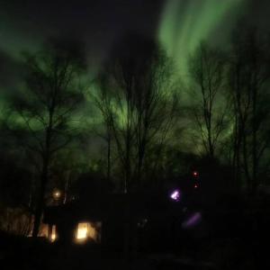 uma imagem da aurora boreal à noite em Birch Tree Cabins em Homer