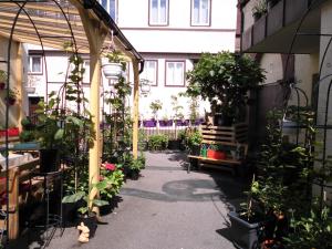 une serre remplie de plantes en pot dans un bâtiment dans l'établissement Ferienwohnungen Calwer Höfle - für Firmen, Handwerker und Monteure, à Calw