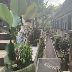 a row of plants in a greenhouse at green view downtown in Ubud