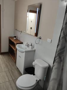 W łazience znajduje się toaleta, umywalka i lustro. w obiekcie Entre Volcanes w mieście Licán Ray