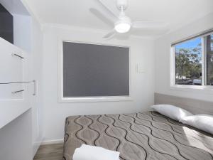 揚巴的住宿－藍海豚度假酒店，一间卧室配有一张床和吊扇
