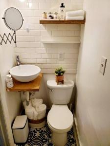 y baño con aseo y lavamanos. en Cute tiny-apartment loft near NC State en Raleigh