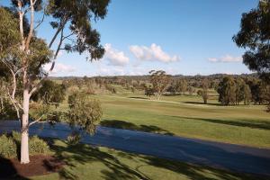 an aerial view of a golf course with a tree at Yarra Valley Lodge in Wonga Park