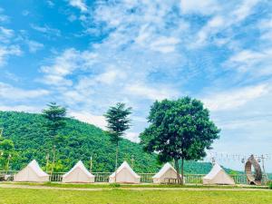 une rangée de tentes dans un champ avec un arbre dans l'établissement Khu du lịch sinh thái Cỏ Lau Village, à Làng Song Ca