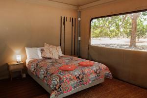 1 dormitorio con cama y ventana grande en BIG4 Breeze Holiday Parks - Katherine, en Katherine