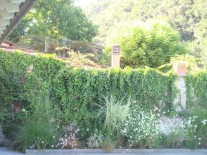 A garden outside B&B Pieve Degli Artisti